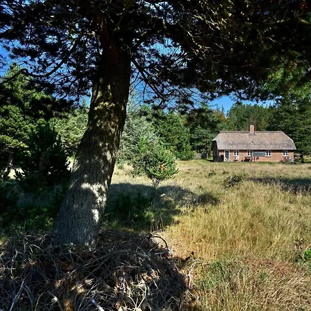 10186-ulfborg-graemvej-81 Prázdninový dům