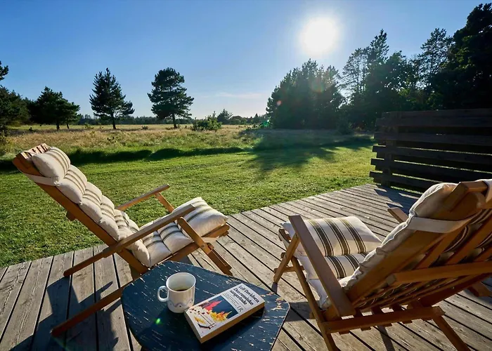 Hébergement de vacances 10186-ulfborg-graemvej-81