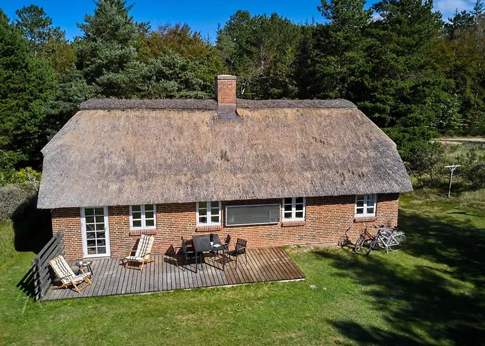 Hébergement de vacances 10186-ulfborg-graemvej-81 *